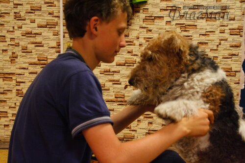 Берег весёлых Робинзонов 2017